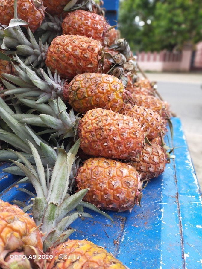 Ananas