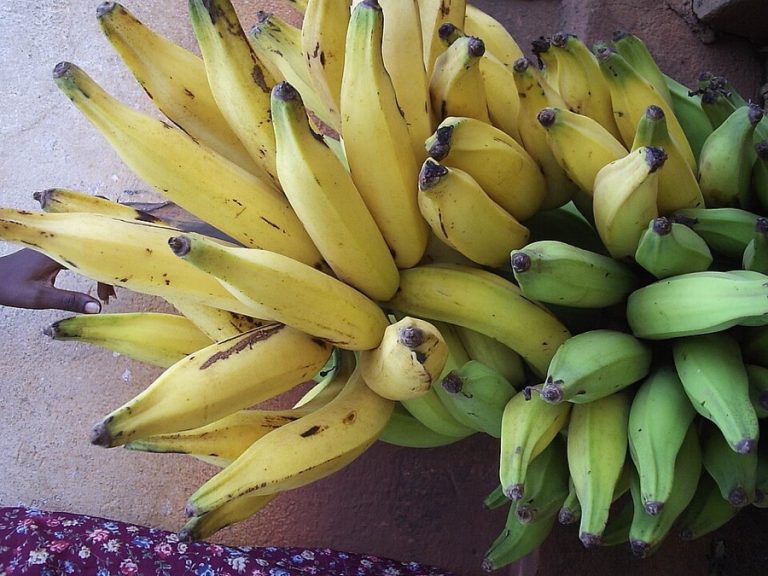 Banane