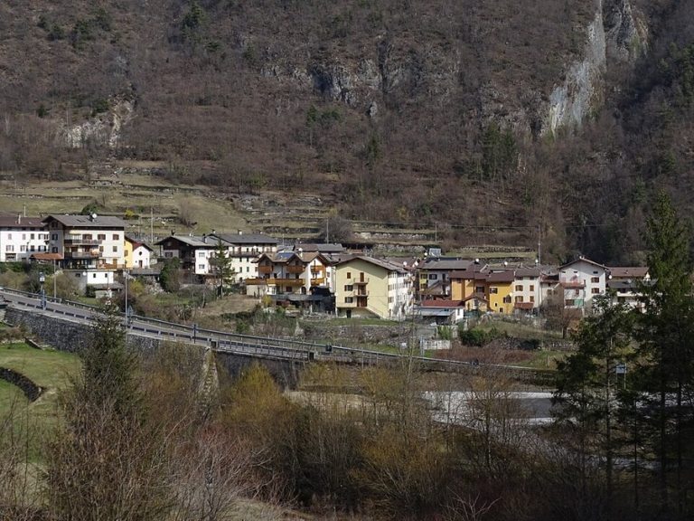 Carotte