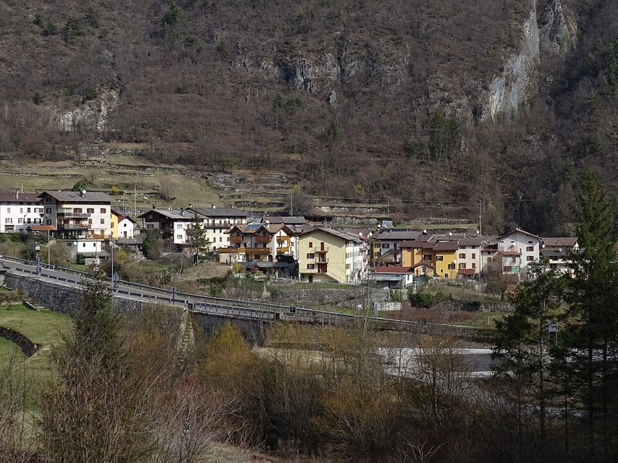 Carotte