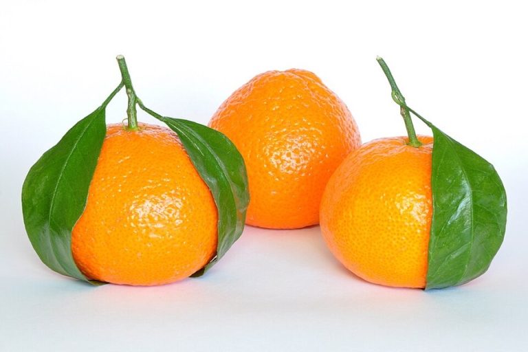 Mandarine