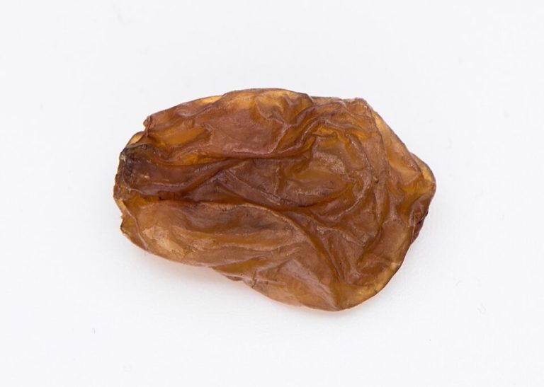 Raisin