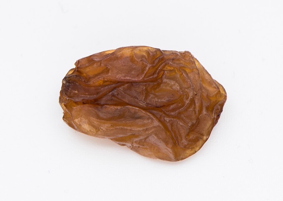 Raisin